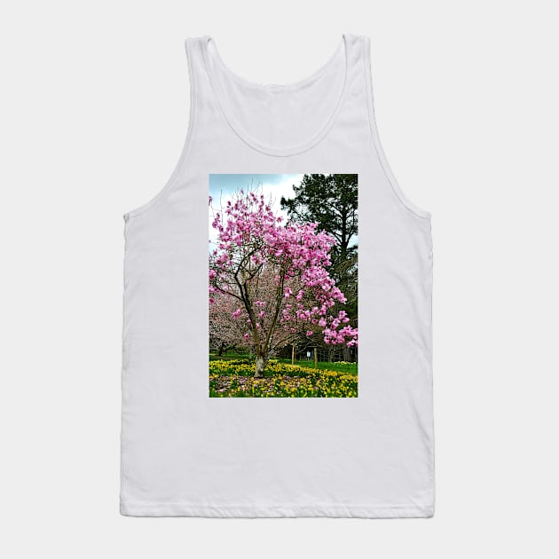 Magnolia Tree Batsford Arboretum Cotswolds UK Tank Top by AndyEvansPhotos